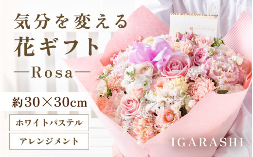 y䌧szCςԃMtg-Rosa-(AWgEzCgpXe) [aw062-c002_07]