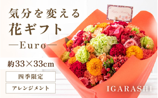 y䌧szCςԃMtg Euro(AWgElGACe) [aw062-c003_09]