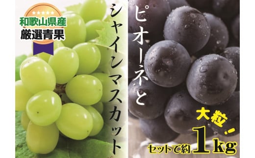 ya̎R炬zlC Ԃǂ Zbg 1kg VCsI[l y8{`{z