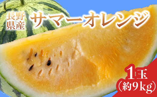 3201 長野県山形村産 すいか「サマーオレンジ」 1玉（9kg前後