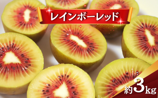 キウイ レインボーレッド 3kg キウイフルーツ キウイ 国産 ビタミンC