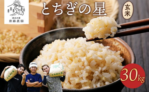 先行受付》令和7年産新米 とちぎの星玄米30kg｜ 米 お米 国産 栃木県
