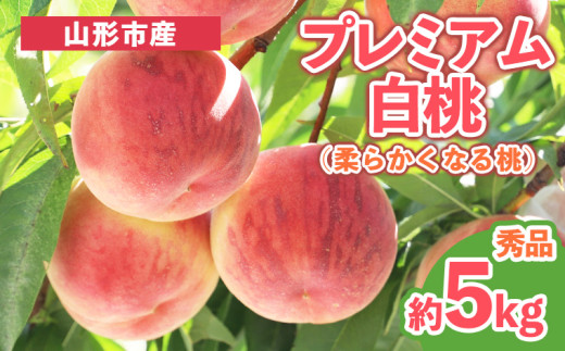 yR`R`szv~A Gi 5kg (10`18) [_炩Ȃ铍] yߘa8NYs\z FS25-628  ʕ t[c R` R` R`s 2026NY