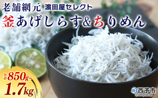 yQ\szVܖԌ _cZNg 炷 (v850g/v1.7kg) g VX Ⴑ CN CY  ɂ   ܂    Y }VY Y