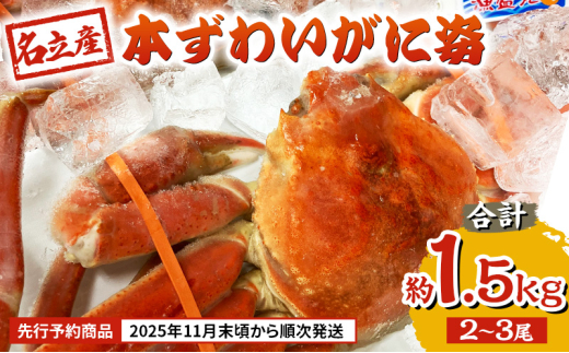 【新潟県上越市】【先行予約商品 2025年11月末頃から順次発送します】名立産 本ずわいがに姿 2〜3尾 合計約1.5kg 新潟 上越 ズワイガニ 冷凍カニ 海産物