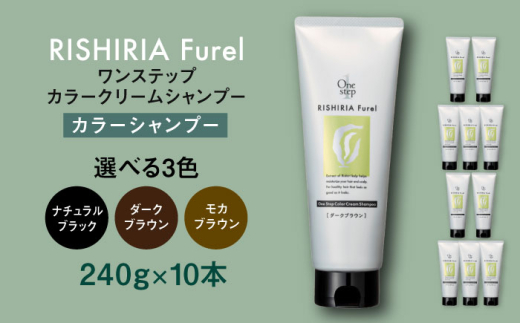 yszy_[NuEzyFIׂzy10{zVAt Xebv J[N[Vv[ s / Ѓs[ [AZA257]