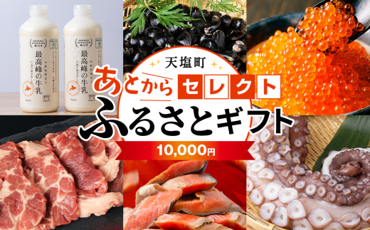 ykCVzƂZNg yӂ邳ƃMtgzs10,000~t