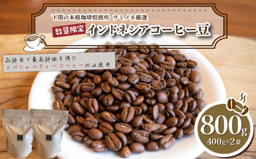 yR֎szy[z 󂠂 R[q[ 800g ( 400g × 2 )  ʌ ChlVA    R