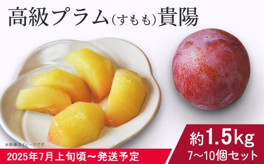 先行予約 】 高級プラム （ すもも ） 貴陽 L玉、M玉セット