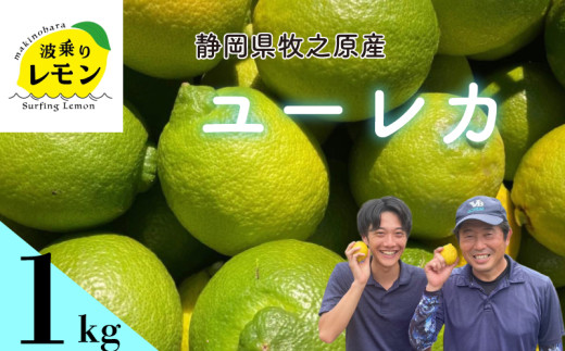 yÉqVszOt qVY g背 [J 1kg Y Lemon EG  k k t[c ʕ _ς ʓ _  hܕsgp É qVs
