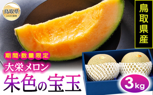 メロン様 B24-330 鳥取県産朱色の宝玉（大栄メロン）3kg【期間・数量限定