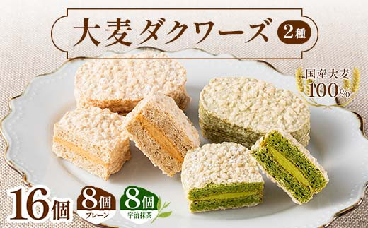 【栃木県足利市】大麦ダクワーズ 2種セット 計16個(プレーン、宇治抹茶 各8個) 栃木県 足利市 F7Z-1366