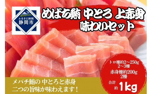 冷凍 鮪 メバチマグロ 味わいセット（中とろ＋上赤身）静岡市