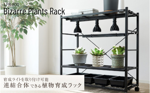 リビングラック(はる) ぼん家具 オープンラック 棚 ラック おしゃれ シェルフ 収納棚 ウッド 棚・シェルフ・ラック