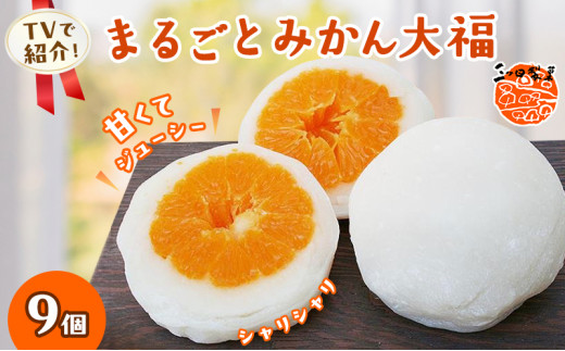 みかん箱3箱分パンパンに詰めます　正月飾り　松の葉　40cm以上希望承ります！ sd1_435f6d3e5f29cd6677d5836e98