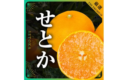 yQlszOڂ̊k̑gƂ4kg@TCY:L`4LE31-52_ ݂ ~J k Ƃ t[c  ʕ ӂ[  ʎ lC Â W[V[ Y Yn