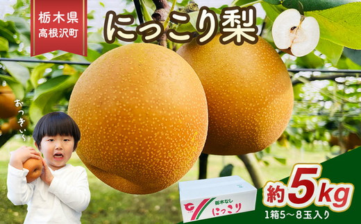 高根沢町産にっこり梨（約5kg・5～8玉入り） ※2025年10月中旬～11月