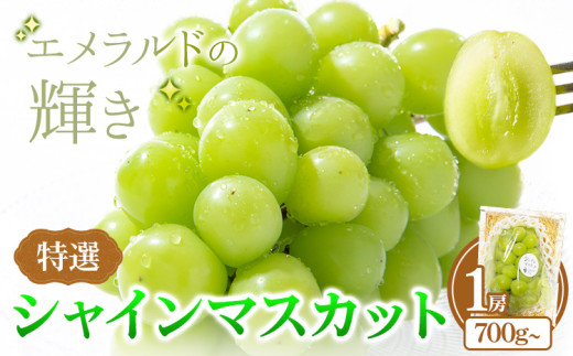 特選 シャインマスカット 1房 700g~ ぶどう マスカット フルーツ 果物