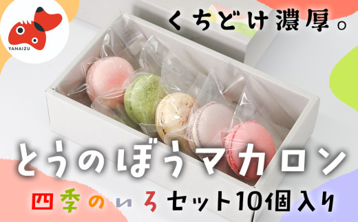 世界No.1パティシエが作る さっくりぎっしり!保存料不使用の「とうの