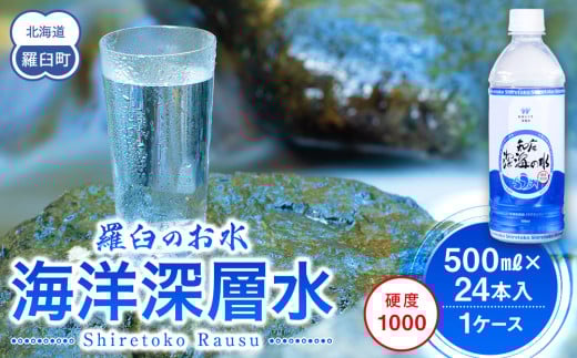 ykCPzm[C̐ dx1000 500ml×24{ Cm[w kC m P 炤 ERY VR ~l }OlVE Y  ~ d  Y x 