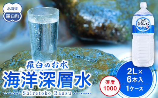 ykCPzm[C̐ dx1000 2L×6{ Cm[w kC m P 炤 ERY VR ~l }OlVE Y  ~ d  Y x 