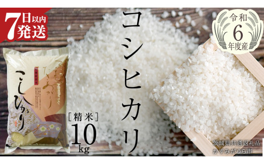 令和6年産 】 コシヒカリ 精米 10kg ( 10kg × 1袋 ) (茨城県共通