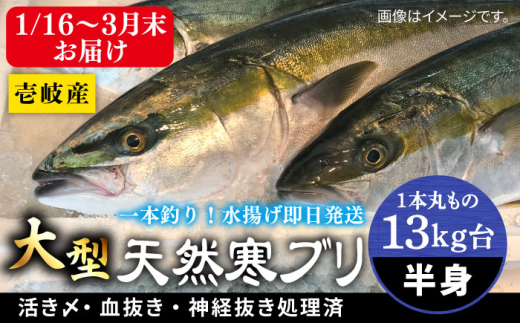 y茧szy13Lz y116?3͂z򓇎YVRui{ۂ̃TCY̔gubNj ssty򓇁@Cz[JBS120]  Ԃ Ԃ u  hg Ԃ