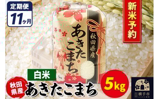 みじんこ　12000円→11000円 みじんこ (@mizinkomzmz) / X