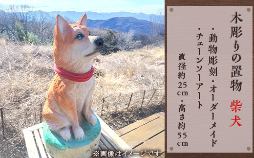 sd1_8381e6596c3bbd96e7903de9d7