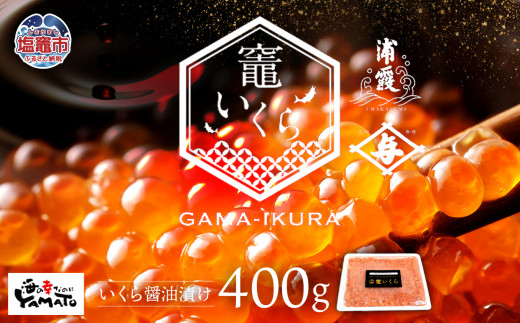 y{錧}sz}iݖЂj400g i  ?Ђ Ⓚ VR  CN }s {錧 YAMATO ya00003-400