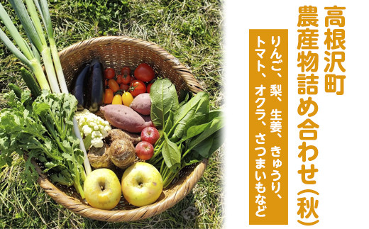 yȖ،򒬁z򒬔_Ylߍ킹iHj2025N9{`11{ɏ\@kCEEւ̔zs