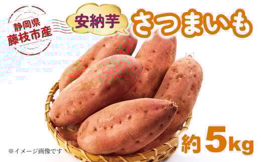 yÉ}szy2025N11`\z ܂ [ 5kg Ԍ Ԍ Tc}C Ă C    N ₳ lC  É }s