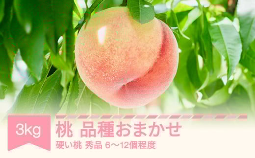 yR`Rszys\z  d i킨܂ Gi 3kg ߘa8NY 2026NY Eւ̔zs sb-mohth3