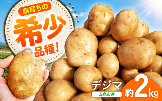 y茧ܓszy12s\žCȂႪ!|Q́wfW}x2kg ܓs/킽ɔ_ [PGO003]