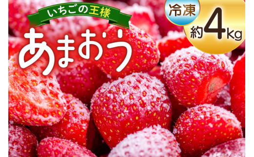 y}sz Ⓚ ܂ 4kg [mhshops  }s 21761025] Ⓚ ⓀC`S C`S 