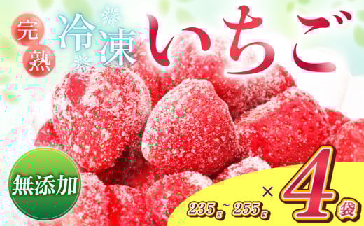 y쌧ѓcszMBY Ⓚ AvX C`S 235g ` 255g × 4 | Ⓚ ʕ t[c   AvXC`S Ⓚ ̂ n ^Ⓚ  ^Cv X[W[ W ѓcs