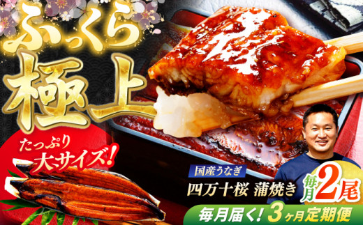 ymmszy3ցzɏ㍑YȂl\ Ă2 ՂTCY / Y m l\ Ȃ EiM V Ă ȏd y ґ yLЂ肽z [ATHE005]