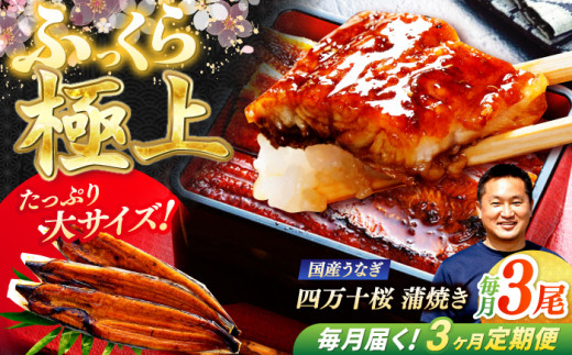 ymmszy3ցz ɏ㍑YȂl\ Ă3 ՂTCY / Y m l\ Ȃ EiM V Ă ȏd y ґ yLЂ肽z [ATHE006]