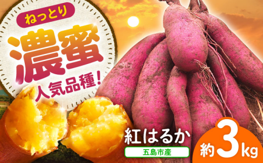 y茧ܓszy10s\žCȂ܂!˂ƂÂwg͂邩x3kg ܓs/킽ɔ_ [PGO001]