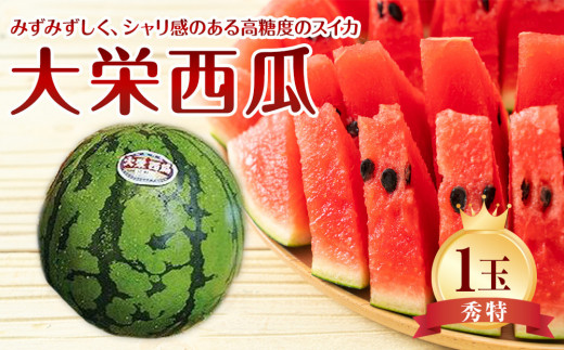 734.【先行予約】【JA】大栄西瓜 秀特×1玉 ※着日指定不可 ※離島