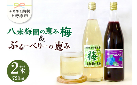 yR쌴sz~W[X u[x[W[X 720ml×2{ Y R͔| Ĕ~ Y ۑsgp ~ʏ` Z  hN  r ăMtg 蕨  R