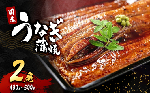 y{ݘacszuYȂāv2(480g`500g)[5385-0630]