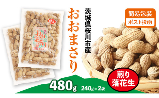 y錧sz܂ 藎Ԑ v480g (240g×2) y2025N11{甭Jnz ȈՕ |Xg  p s[ibc Ԑ ܂  َq ibc  [BB013sa]