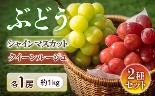 y쌧Luzy2026Ns\zVC}XJbgNC[[WR e1[i1sj2026N9{`9{\聦 ʕ t[c Ԃǂ 