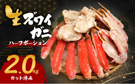 y{ݘacszYCKj 2.0kg(n[t|[VwJbgς݁x)[5385-0622]