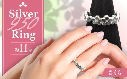 y򕌌QszVo[O   Qs / ATP Vo[ ANZT[ nhCh [AZAH005]