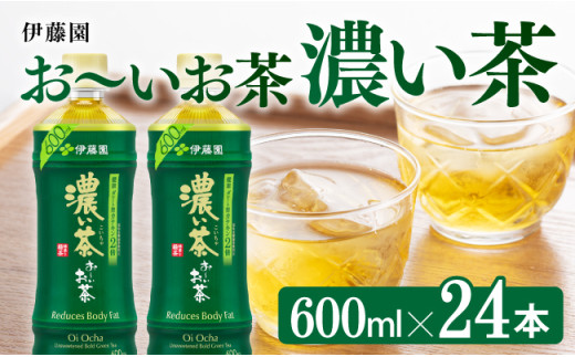 お～いお茶 濃い茶600ml×24本 PET 【 緑茶 お茶 ペットボトル