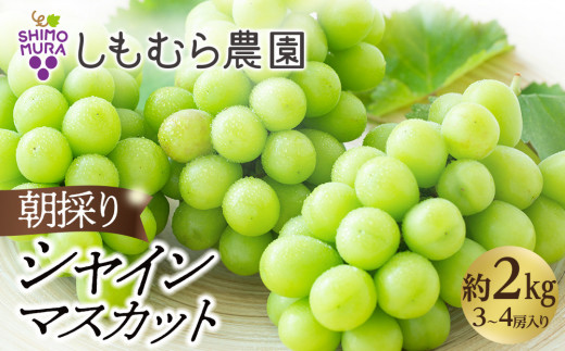sd1_a6790615886a4ab703efbcaed7
