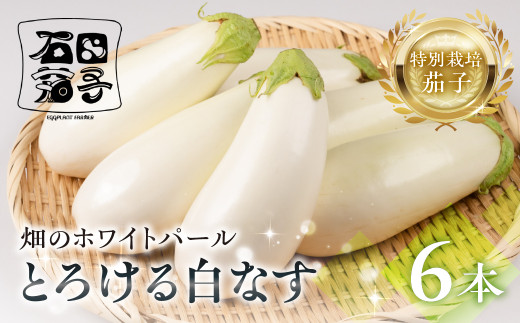 ≪先行予約≫白茄子 6本 ナス 茄子 なす なすび 白なす しろなす 白