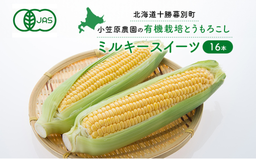 ykCʒz}_̗L@Ƃ낱u~L[XC[cv16{ykC\ʁzs2026N8o׊Jns\ty XC[gR[ R[ Ƃ낱 Ƃ F  